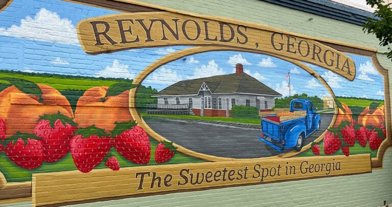 What to Expect at the Georgia Strawberry Festival in Reynolds